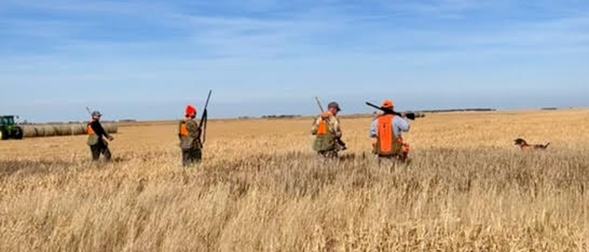 South Dakota Pheasant Hunts