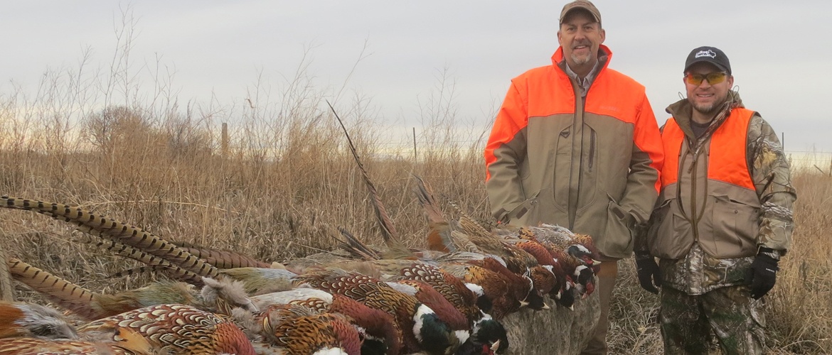 Pheasant Hunting in South Dakota