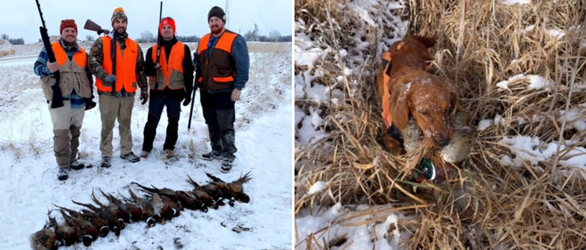 Dakota Pheasant Guide Hunting