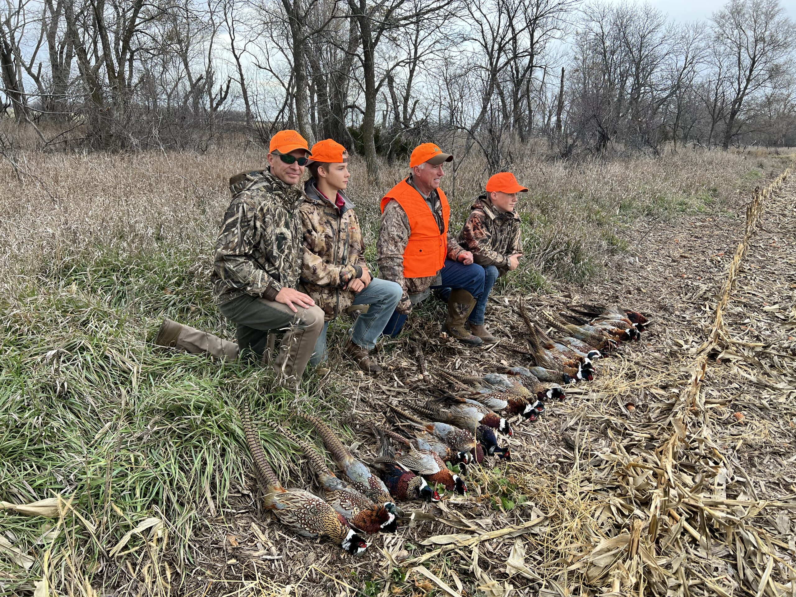 Hunting Pheasant in South Dakota