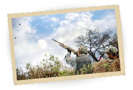 South Dakota Dove Hunt