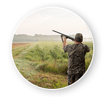 South Dakota Dove Hunts
