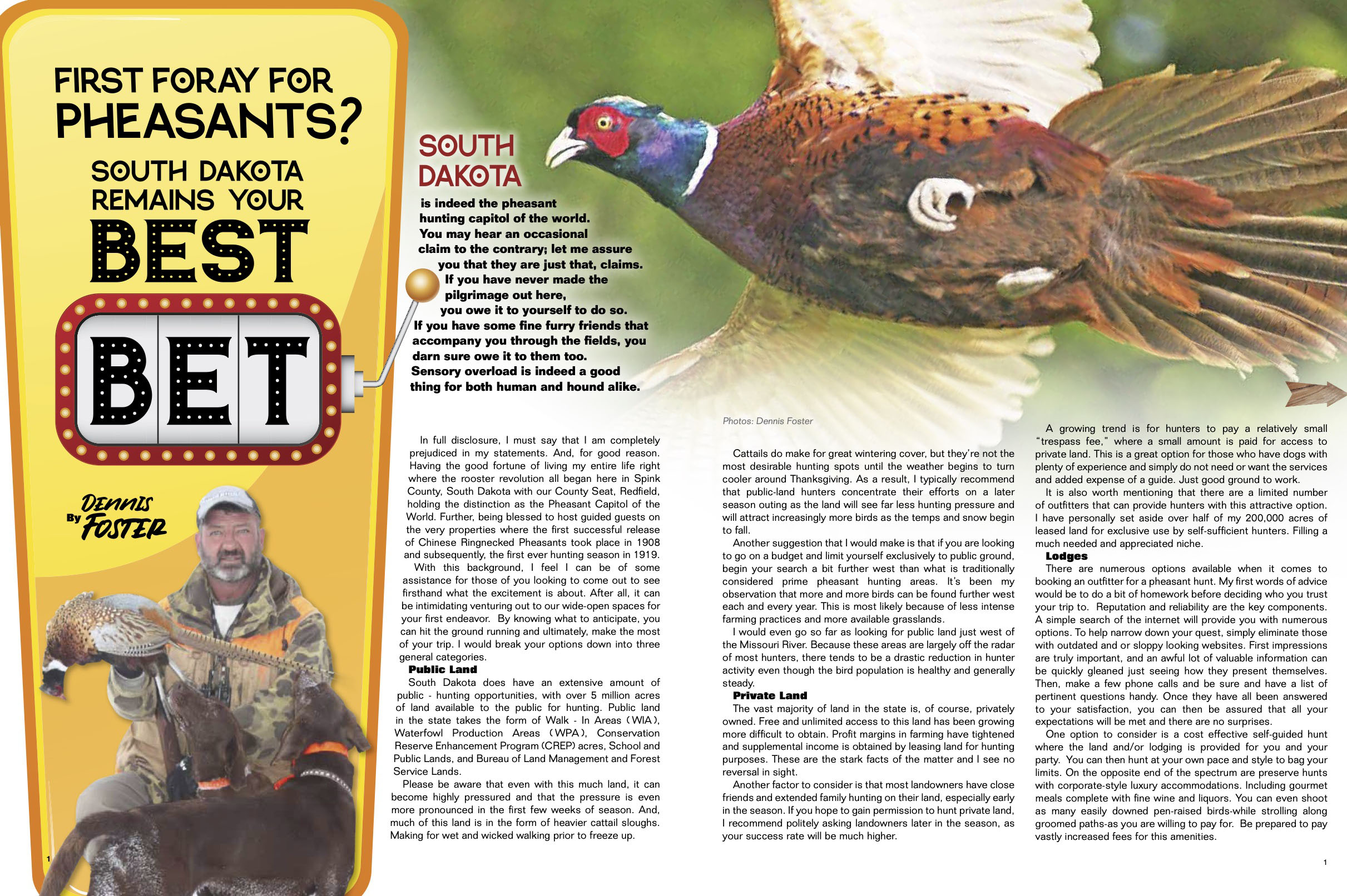 First Foray For Pheasants? South Dakota Remains Your Best Bet