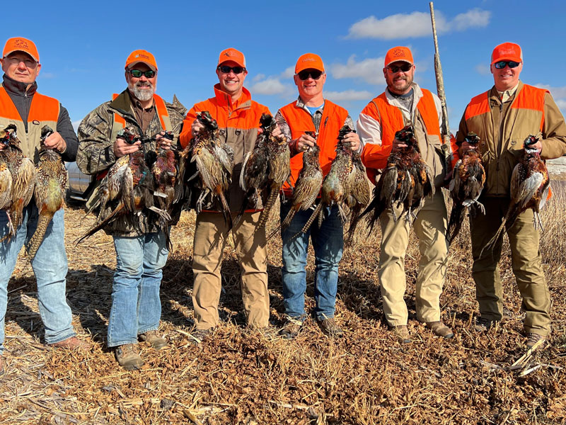 men holding pheasants shot after a corporate pheasant hunt with dakota pheasant guide