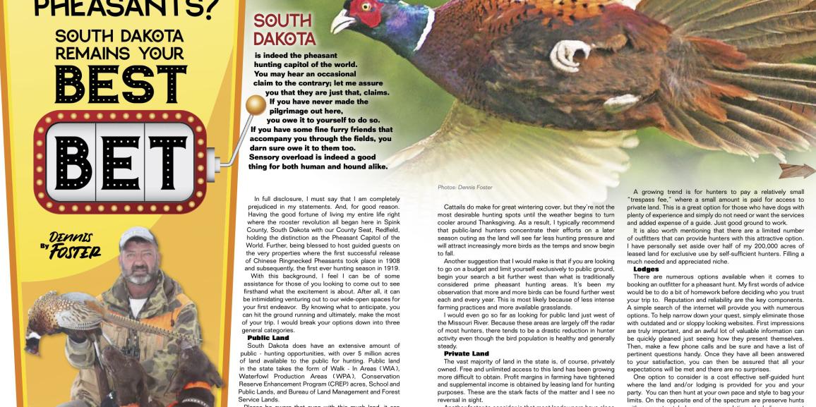 First Foray For Pheasants? South Dakota Remains Your Best Bet