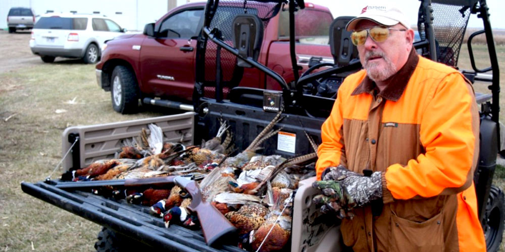 Pheasant Hunting in South Dakota